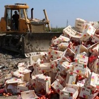 Операция Антисанкции: тонны иностранных продуктов уничтожили на Алтае